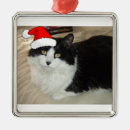 Recherche de chat noir et blanc ornements Cats