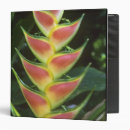 Search for reservation binders Rainforest
