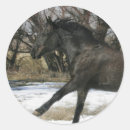Recherche de mustang sauvage autocollants Équestre
