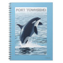 Search for orca notebooks Lantern