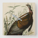 Recherche de turquie horloges Oiseau