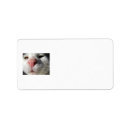 Search for nose return address labels Cat