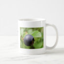 Search for blueberry mugs Forest