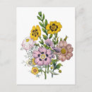 Search for vintage rose illustration postcards Yellow