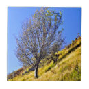 Search for countryside tiles Photograph