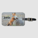 Recherche de renard bagages étiquettes Faune