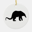 Search for anteater ornaments Nature