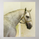 Search for paint stallion posters Equine