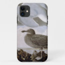 Search for gull iphone cases 1827