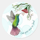 Search for colourful hummingbird stickers Feathers