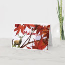 Search for mabon cards Druid