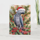 Search for african grey parrot christmas cards Bird