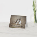 Search for rabbits note cards Sweet