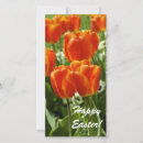 Recherche de jardin de tulipe Élégant