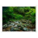 Search for stream posters Ferns