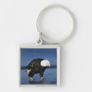 Search for bald eagle keychains Blue