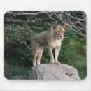Search for regal electronics Lion