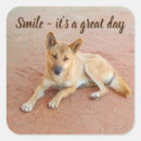 Search for smiling dog stickers Pet