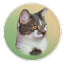 Recherche de chat blanc boutons et poignées de porte Animaux