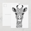 Search for giraffe drawing postcards Illustration