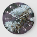 Search for magnolia clocks Flowers