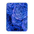 Recherche de rose et rose de bleu magnets Jolie