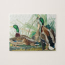 Search for duck puzzles Cute