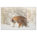 Search for tiger fabric Cat