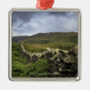 Search for stones ornaments Outdoors