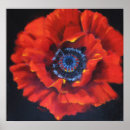 Search for iceland poppy posters Red