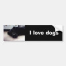 Recherche de copies voiture autocollants Chien