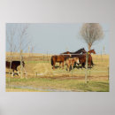 Recherche de chevaux posters Ferme