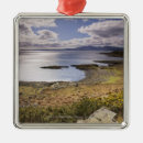 Recherche de butte ornements Nature