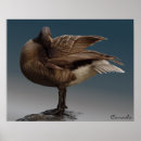 Search for canada goose posters Geese