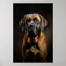 Recherche de mastiff anglais posters Chiot