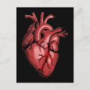 Recherche de anatomique cartes postales Coeur
