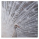 Search for peacock feather tiles White