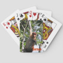 Search for monkey playing cards Rainforest