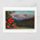 Search for foothills postcards Orange