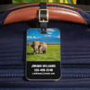 Recherche de kenya luggage tags Parc national d'amboseli