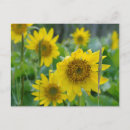 Search for vancouver postcards Cowichan valley