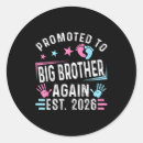 Recherche de best big brother stickers 2026