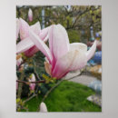 Search for bloom in spring posters Flowers