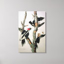 Search for bird canvas prints Audubon