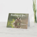 Search for squirrel get well cards Thinking of you
