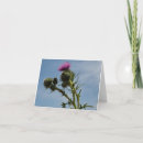 Search for thistle plant cards Scotland