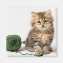 Search for kitten magnets Japan