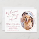 Search for funny wedding invitations Elegant script