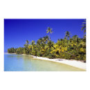Search for seclude posters White