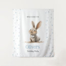 Search for bunny photography Baby boy